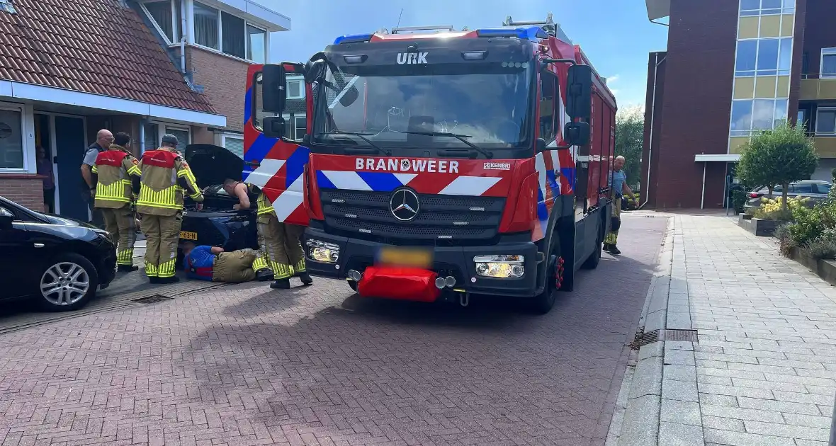 Kat vast in auto, brandweer schiet te hulp - Foto 1
