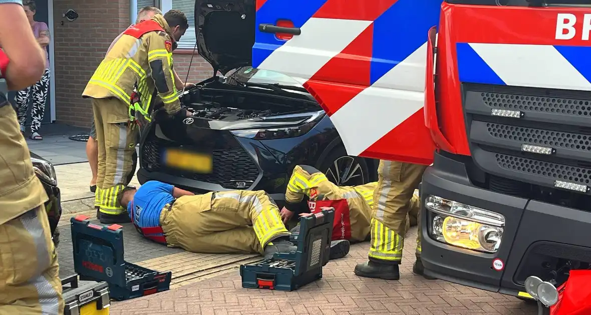 Kat vast in auto, brandweer schiet te hulp - Foto 3