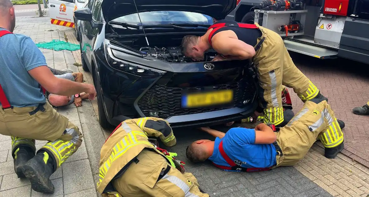 Kat vast in auto, brandweer schiet te hulp - Foto 5