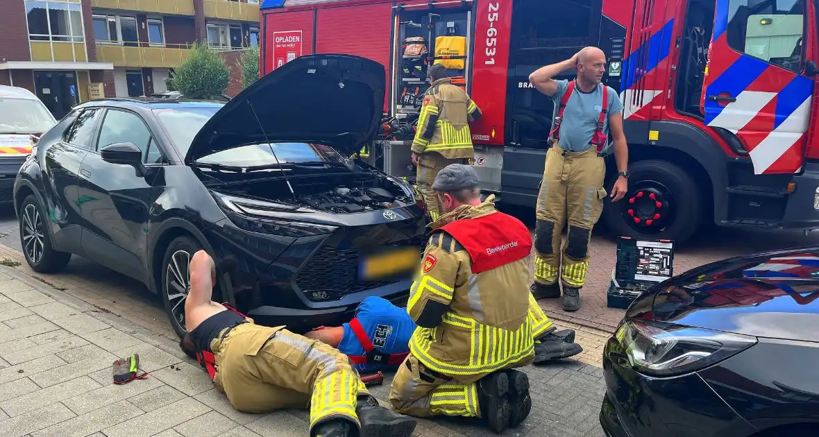 Kat vast in auto, brandweer schiet te hulp - Foto 7