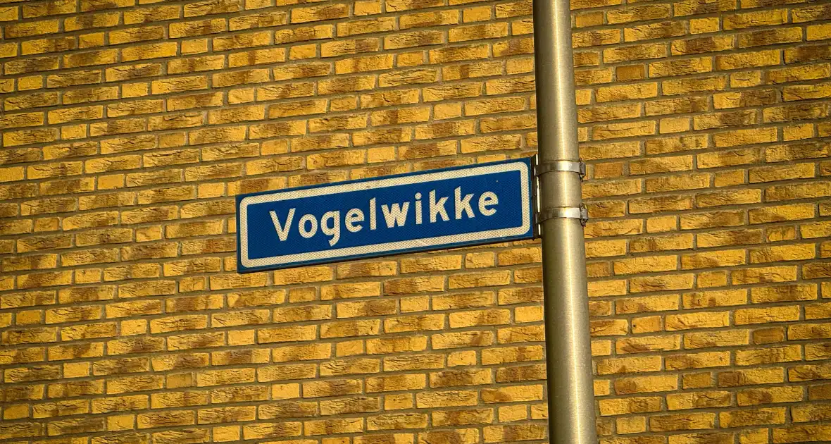 Omleiding door wegwerkzaamheden zorgt voor ongeval - Foto 9