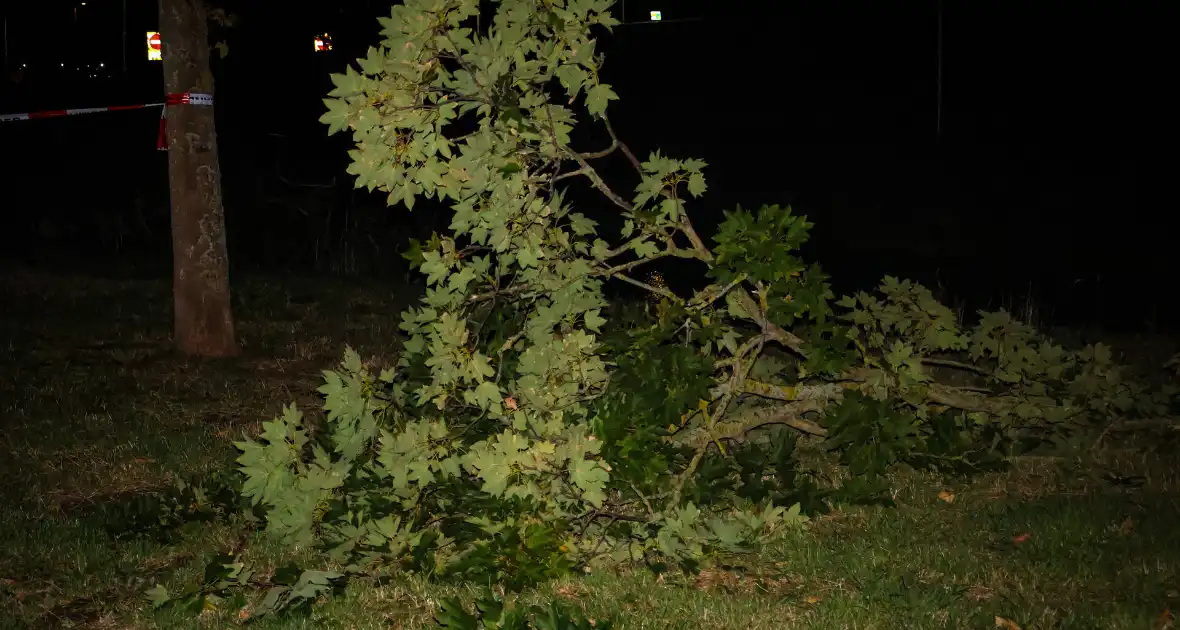 Brandweer zaagt takken van schuinstaande boom af