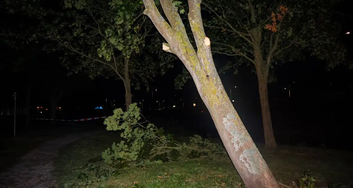 Brandweer zaagt takken van schuinstaande boom af - Foto 1