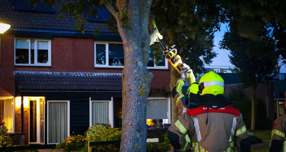 Brandweer zaagt takken van schuinstaande boom af - Foto 12