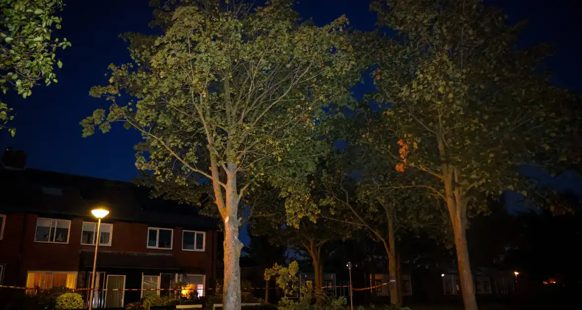 Brandweer zaagt takken van schuinstaande boom af - Foto 3