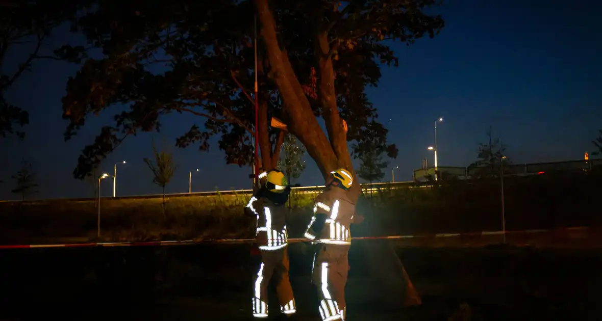 Brandweer zaagt takken van schuinstaande boom af - Foto 5