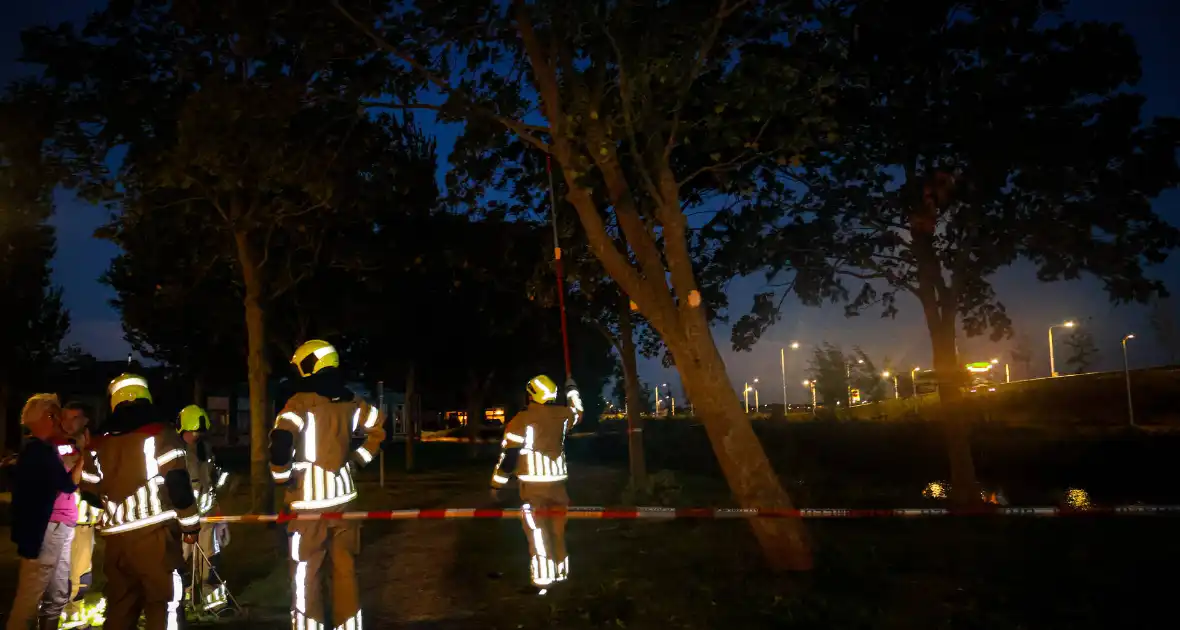 Brandweer zaagt takken van schuinstaande boom af - Foto 6