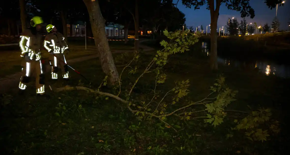 Brandweer zaagt takken van schuinstaande boom af - Foto 7