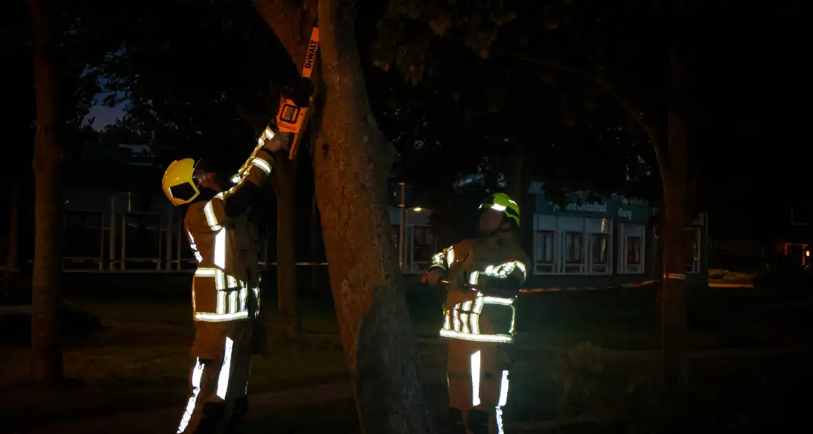 Brandweer zaagt takken van schuinstaande boom af - Foto 8