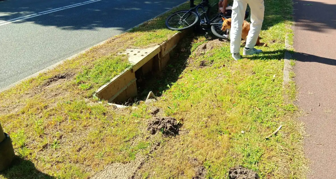 Politie brengt dochtertje veilig thuis na val met fiets - Foto 4