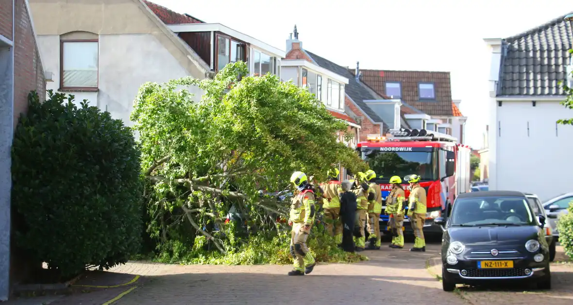 Brandweer in actie na omgewaaide boom