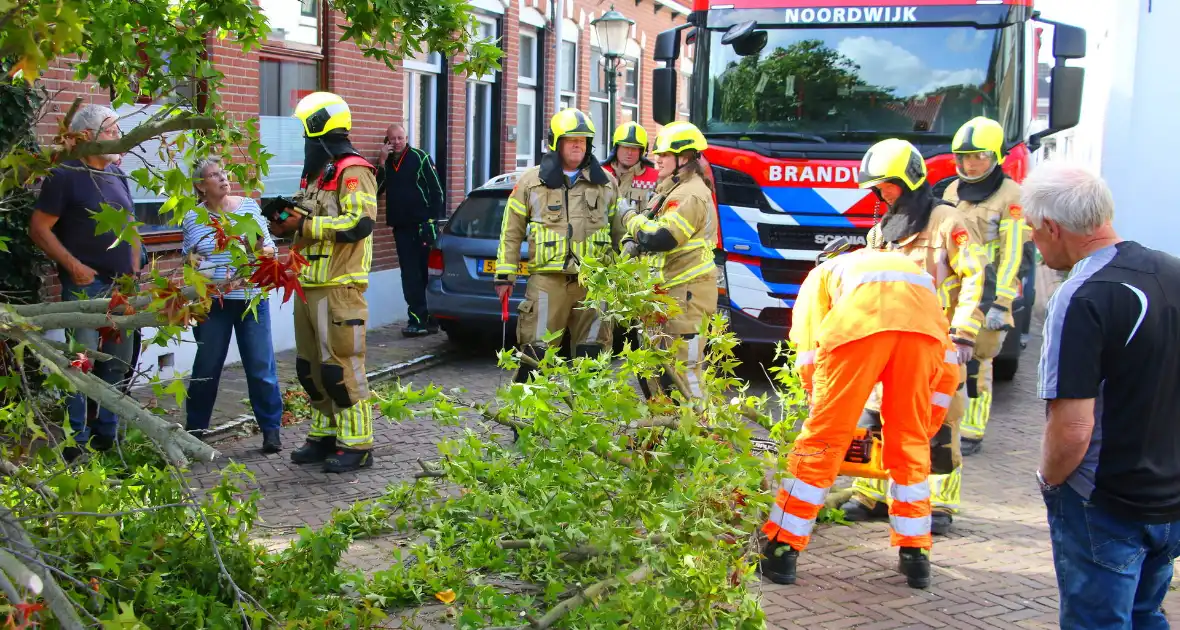Brandweer in actie na omgewaaide boom - Foto 2