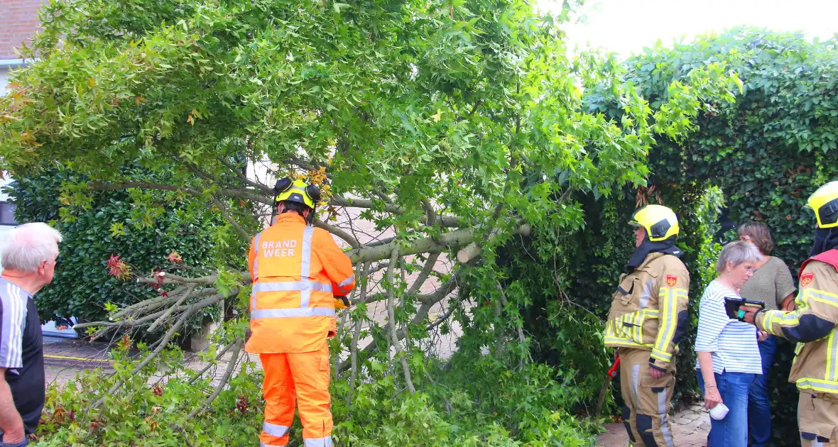 Brandweer in actie na omgewaaide boom - Foto 3