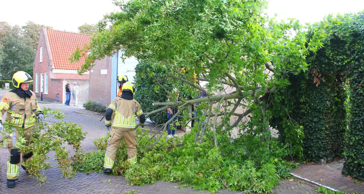 Brandweer in actie na omgewaaide boom - Foto 4
