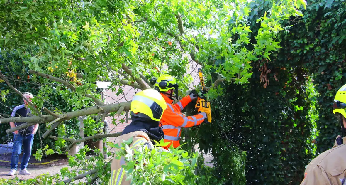 Brandweer in actie na omgewaaide boom - Foto 5