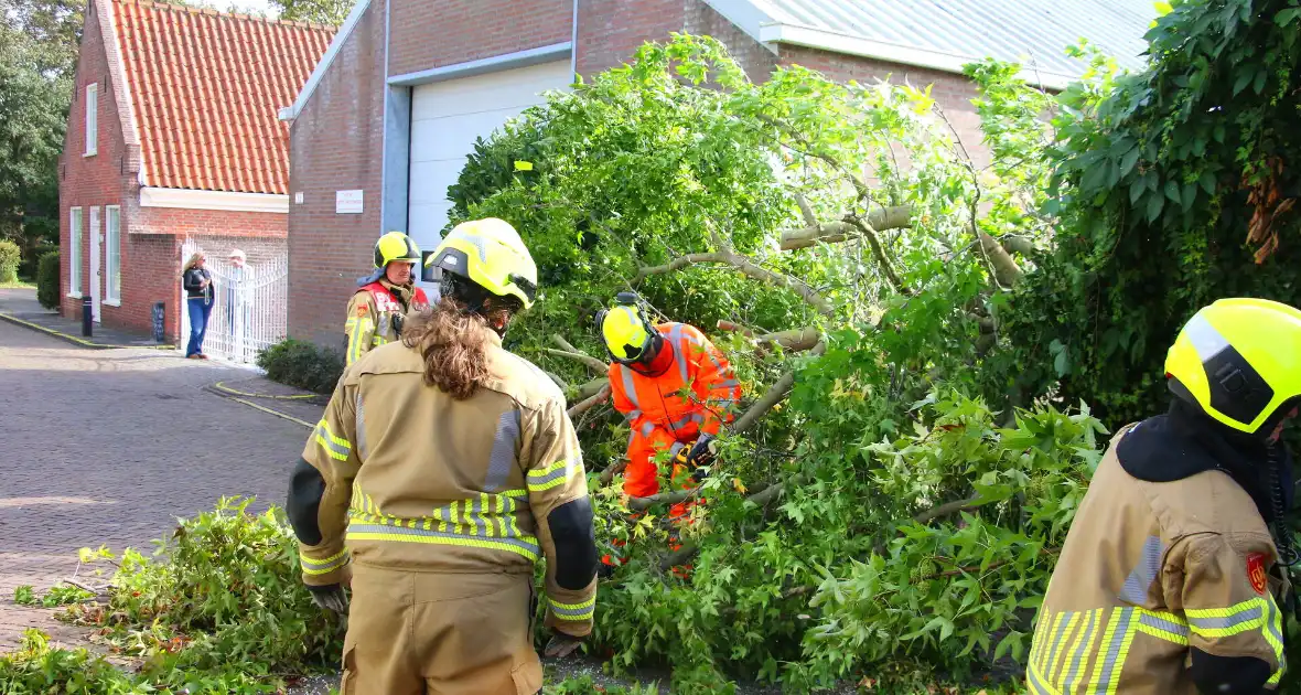 Brandweer in actie na omgewaaide boom - Foto 6