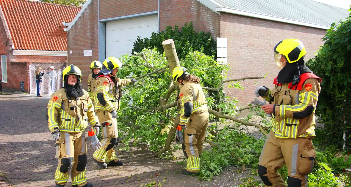 Brandweer in actie na omgewaaide boom - Foto 7