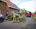 Boom beschadigt auto door storm