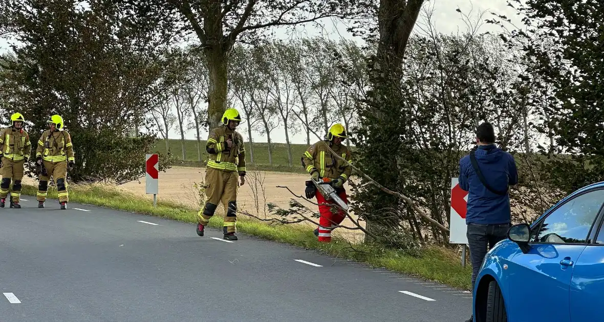 Stormschade zorgt voor afgebroken tak