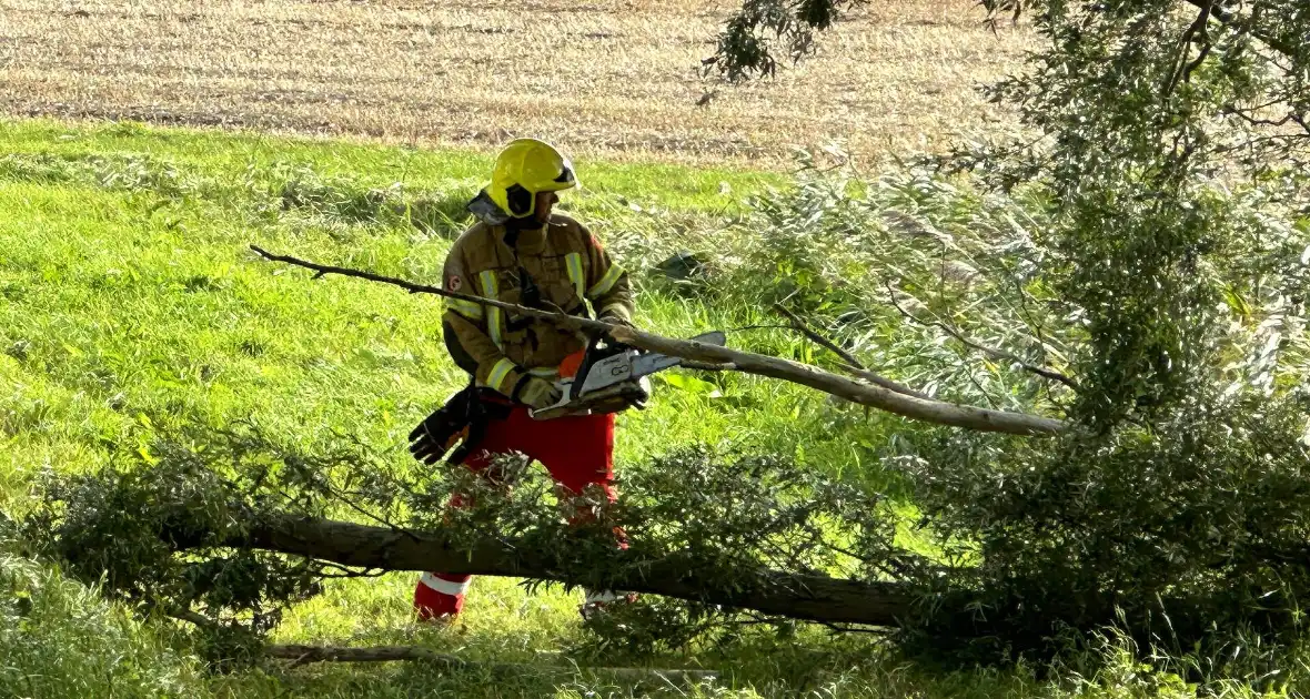 Stormschade zorgt voor afgebroken tak - Foto 1