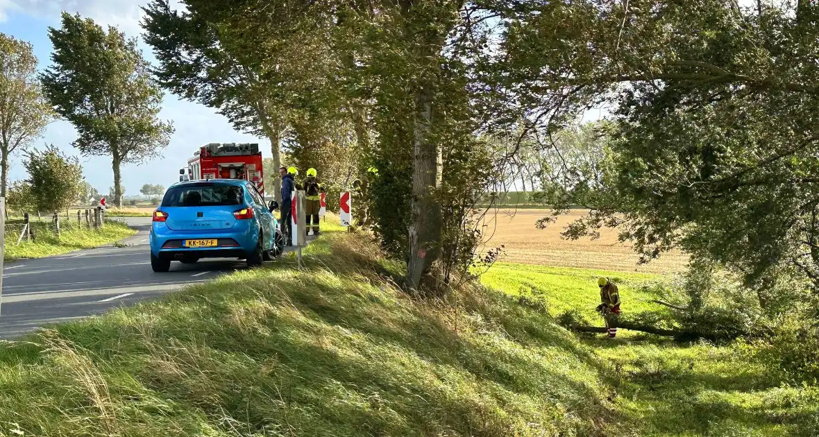 Stormschade zorgt voor afgebroken tak - Foto 2