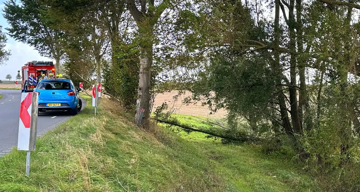 Stormschade zorgt voor afgebroken tak - Foto 3