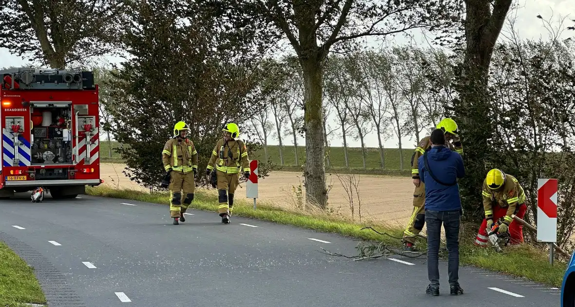 Stormschade zorgt voor afgebroken tak - Foto 4