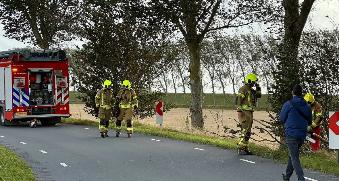 Stormschade zorgt voor afgebroken tak - Foto 5