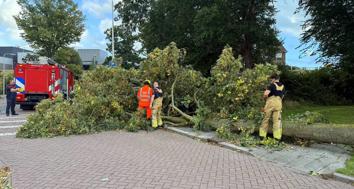 Storm legt boom op weg - Foto 2