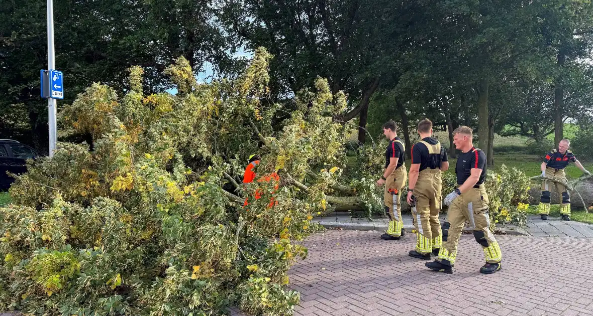 Storm legt boom op weg - Foto 3