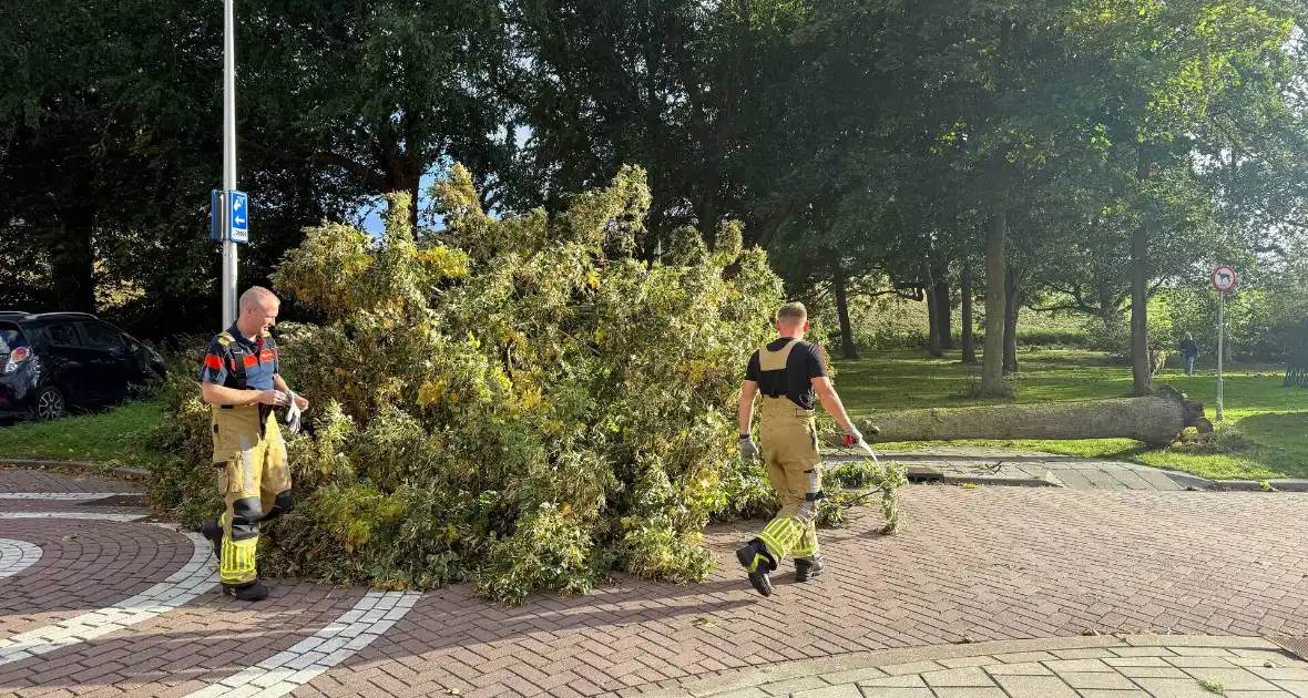 Storm legt boom op weg - Foto 4
