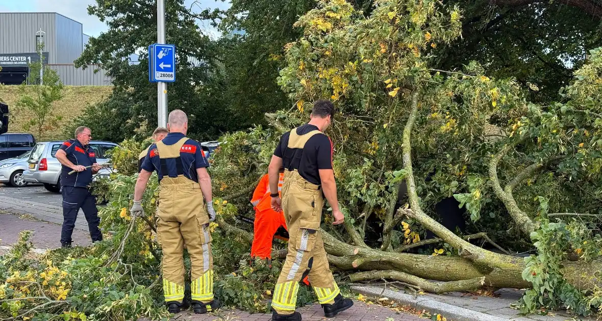 Storm legt boom op weg - Foto 5