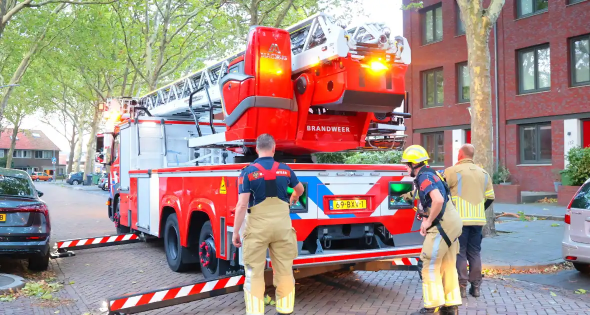 Brandweer verwijdert takken uit boom na natuurincident