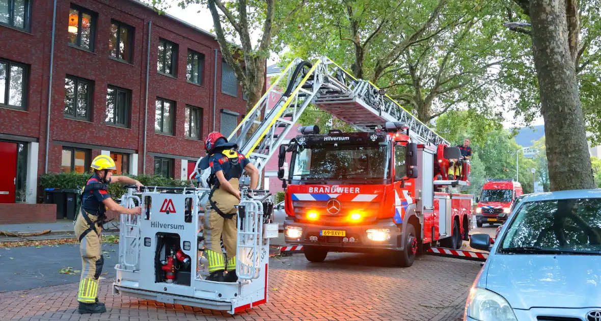 Brandweer verwijdert takken uit boom na natuurincident - Foto 1