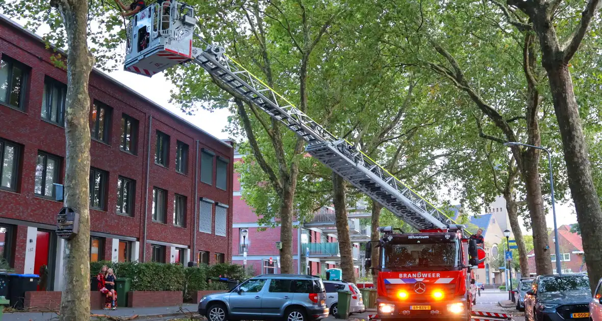 Brandweer verwijdert takken uit boom na natuurincident - Foto 3