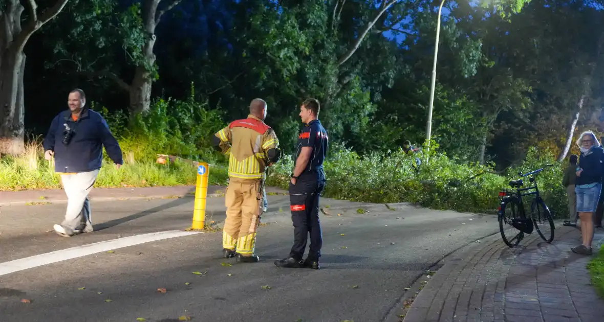 Boom blokkeert weg na zware wind