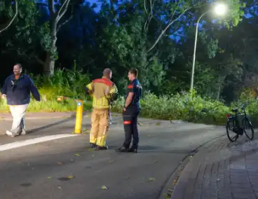 Boom blokkeert weg na zware wind