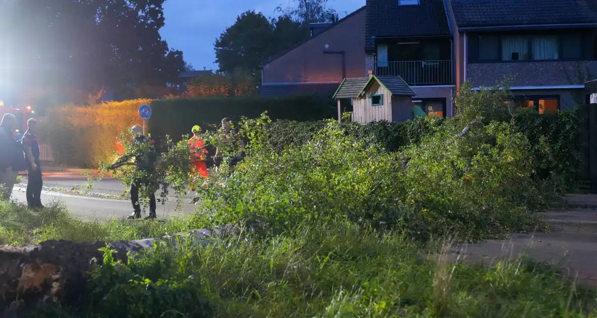 Boom blokkeert weg na zware wind - Foto 2