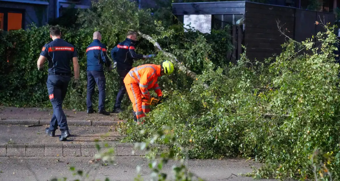 Boom blokkeert weg na zware wind - Foto 3