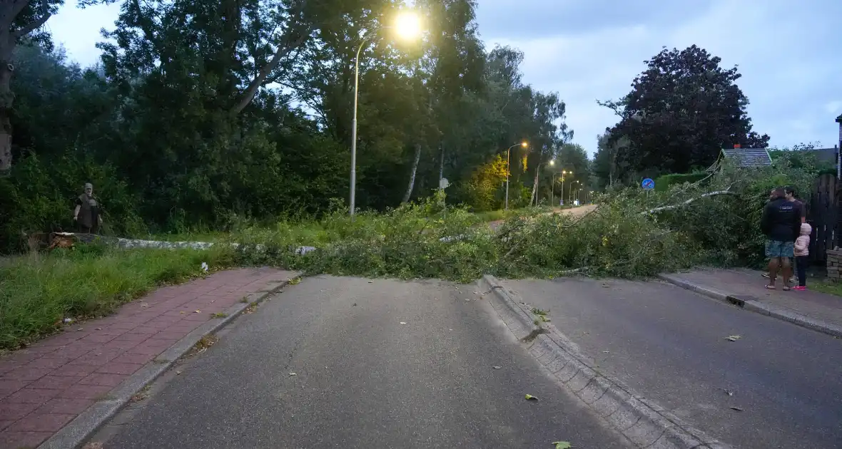 Boom blokkeert weg na zware wind - Foto 4