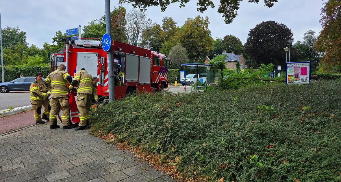 Omgevallen de boom mist fietser op haar na - Foto 1