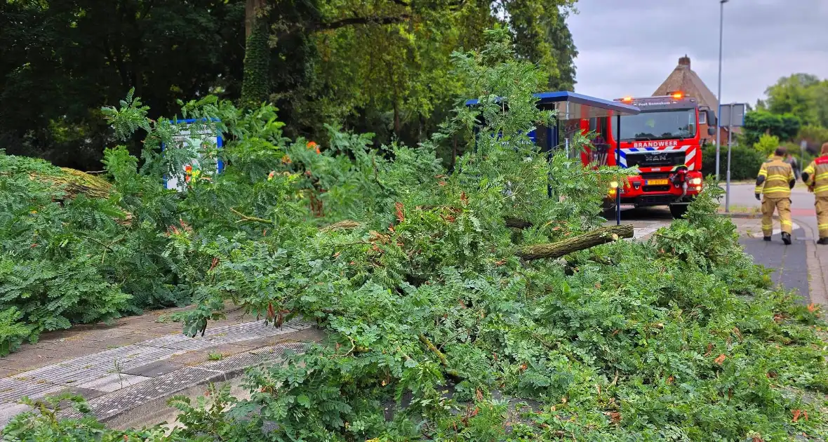 Omgevallen de boom mist fietser op haar na - Foto 2