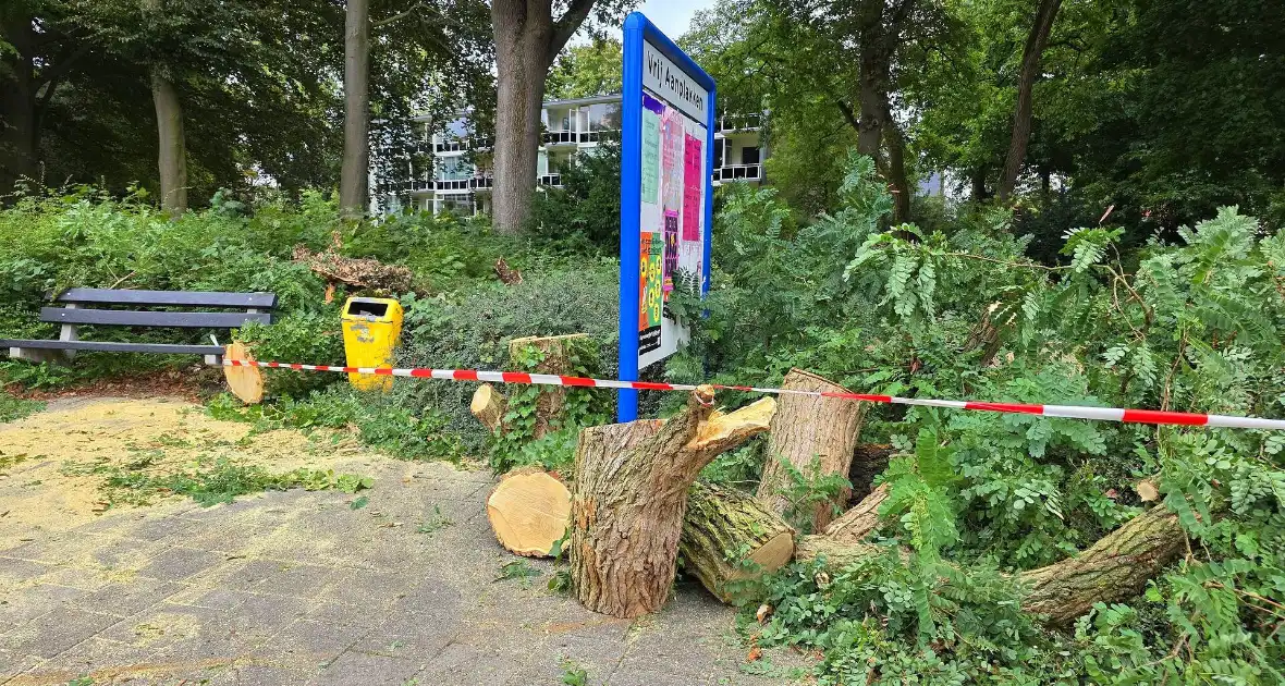 Omgevallen de boom mist fietser op haar na - Foto 5