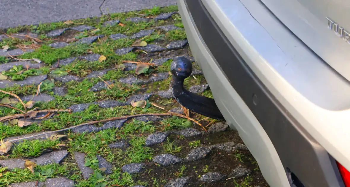 Ongeval zorgt voor tijdelijke afsluiting - Foto 7