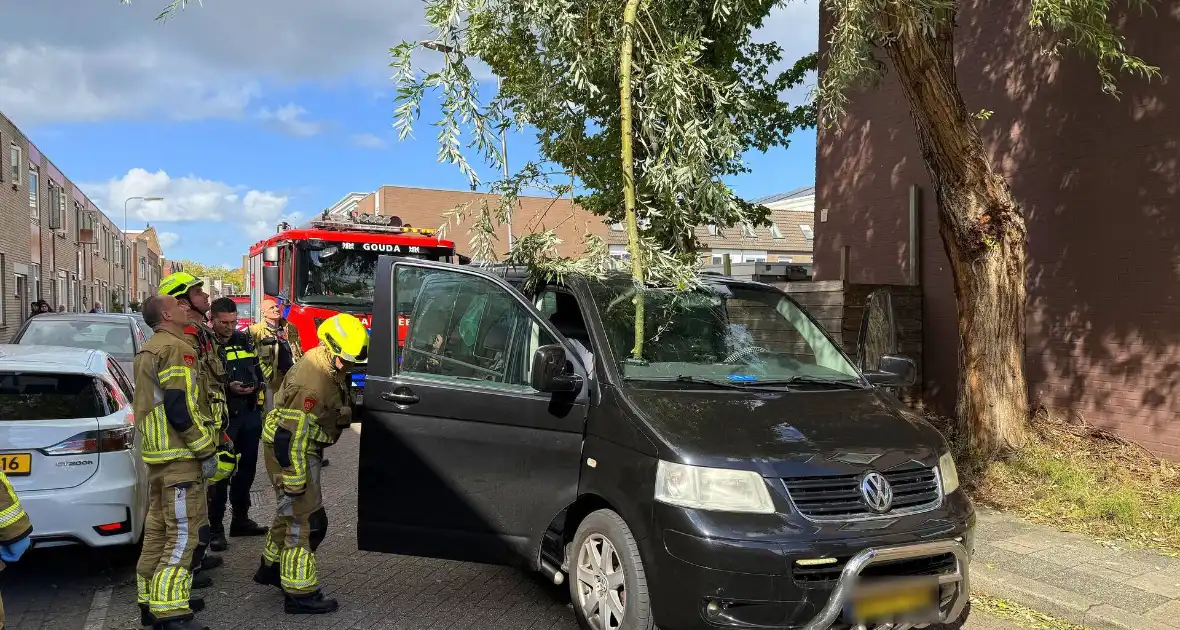 Boomtak doorboort vooruit bestelbus