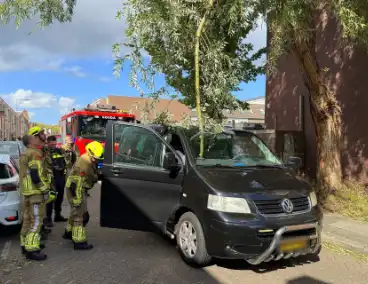 Boomtak doorboort vooruit bestelbus