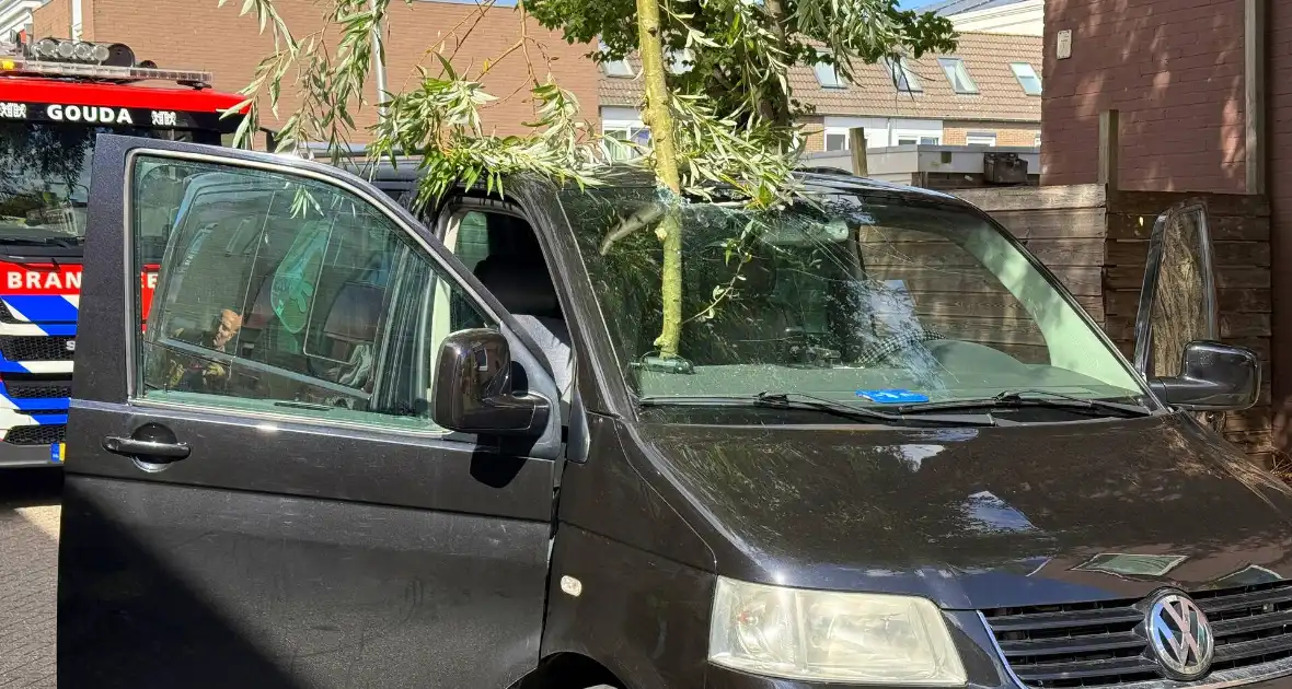 Boomtak doorboort vooruit bestelbus - Foto 2