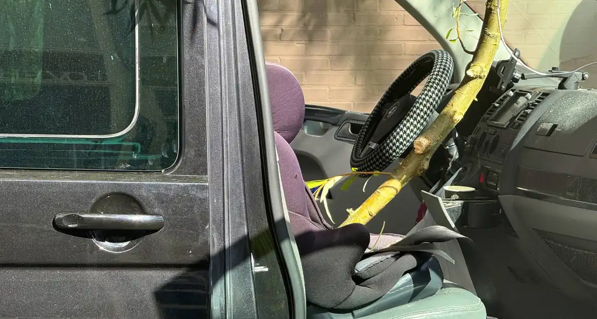 Boomtak doorboort vooruit bestelbus - Foto 3