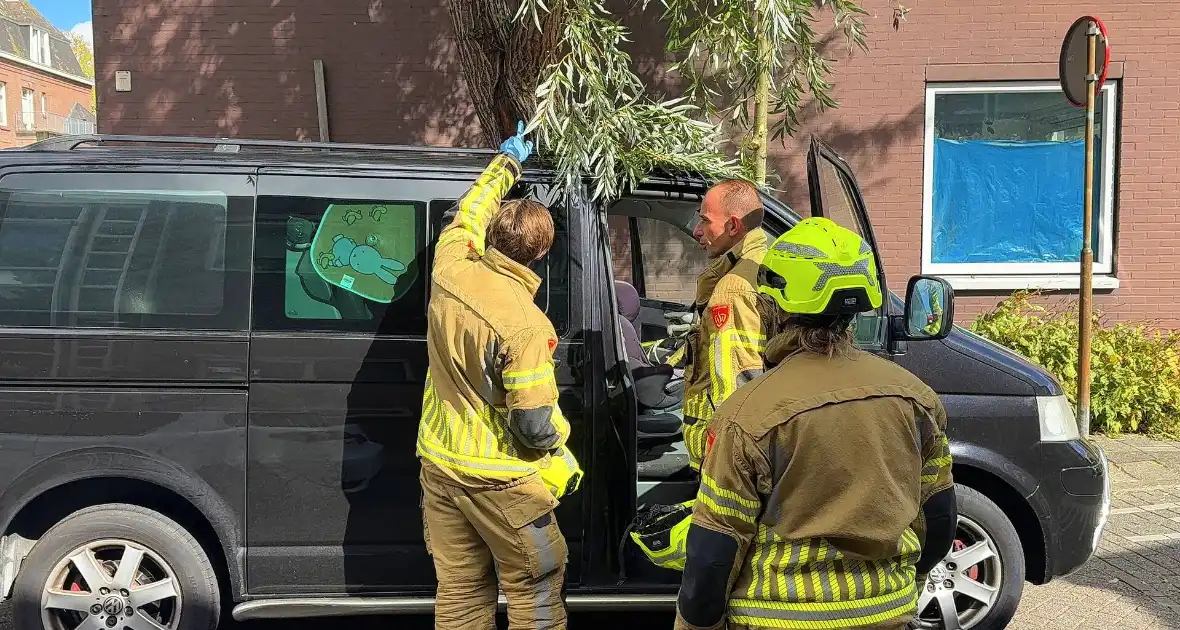 Boomtak doorboort vooruit bestelbus - Foto 4