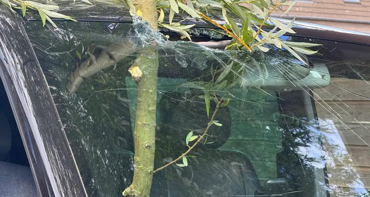 Boomtak doorboort vooruit bestelbus - Foto 6